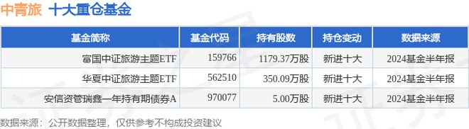 探究中青旅，一家多元化發(fā)展的旅游巨頭——600138，中青旅探究，多元化發(fā)展的旅游巨頭揭秘——股票代碼600138