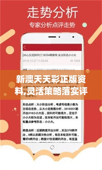 新澳天天開獎資料詳解，新澳天天開獎資料全面解析