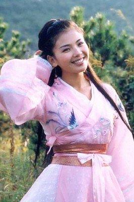 胡軍版天龍八部演員表深度解析，胡軍版天龍八部演員陣容深度解析