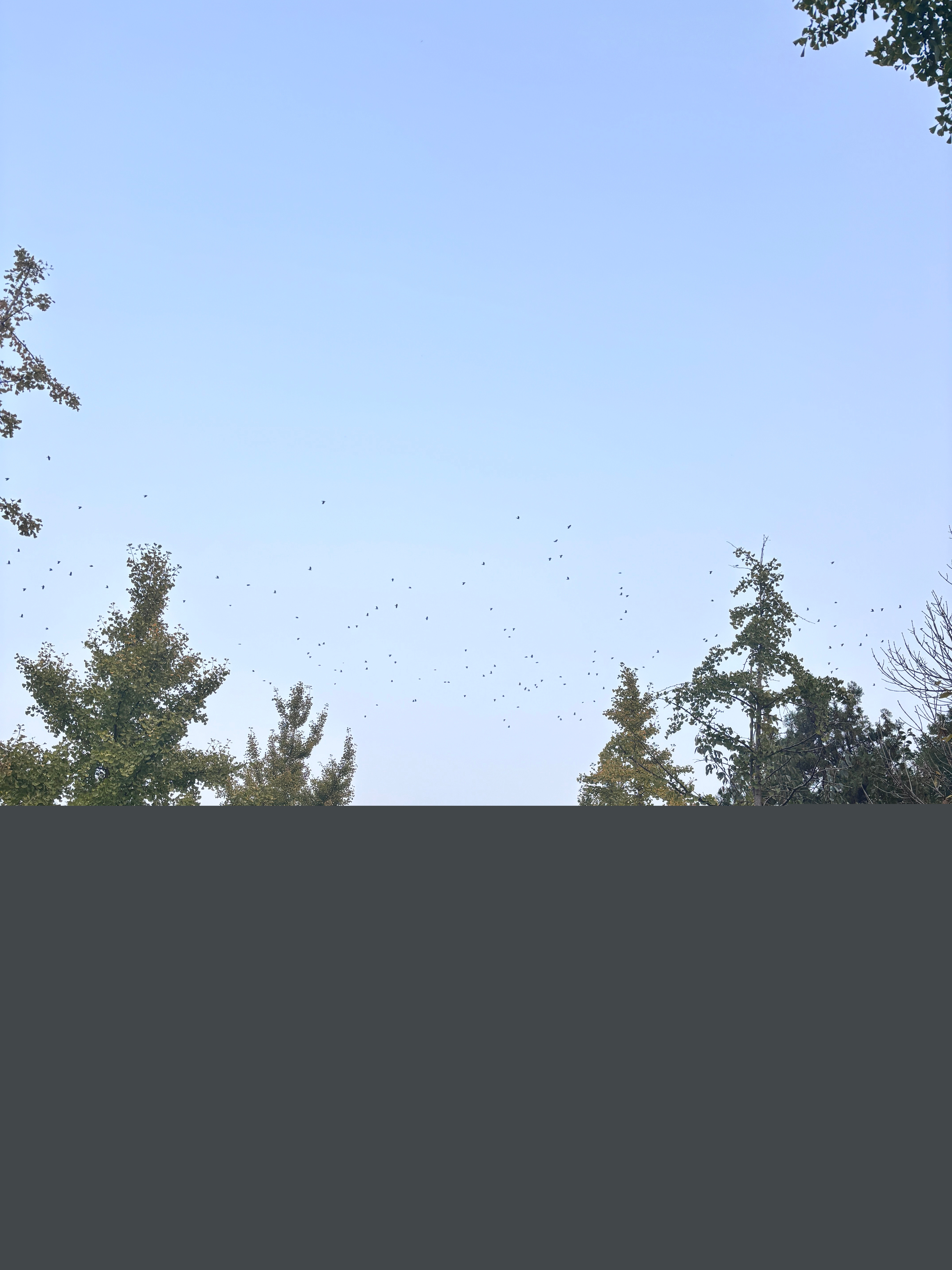 邯鄲123，歷史底蘊與現(xiàn)代魅力的交織，邯鄲123，歷史底蘊與現(xiàn)代魅力的融合