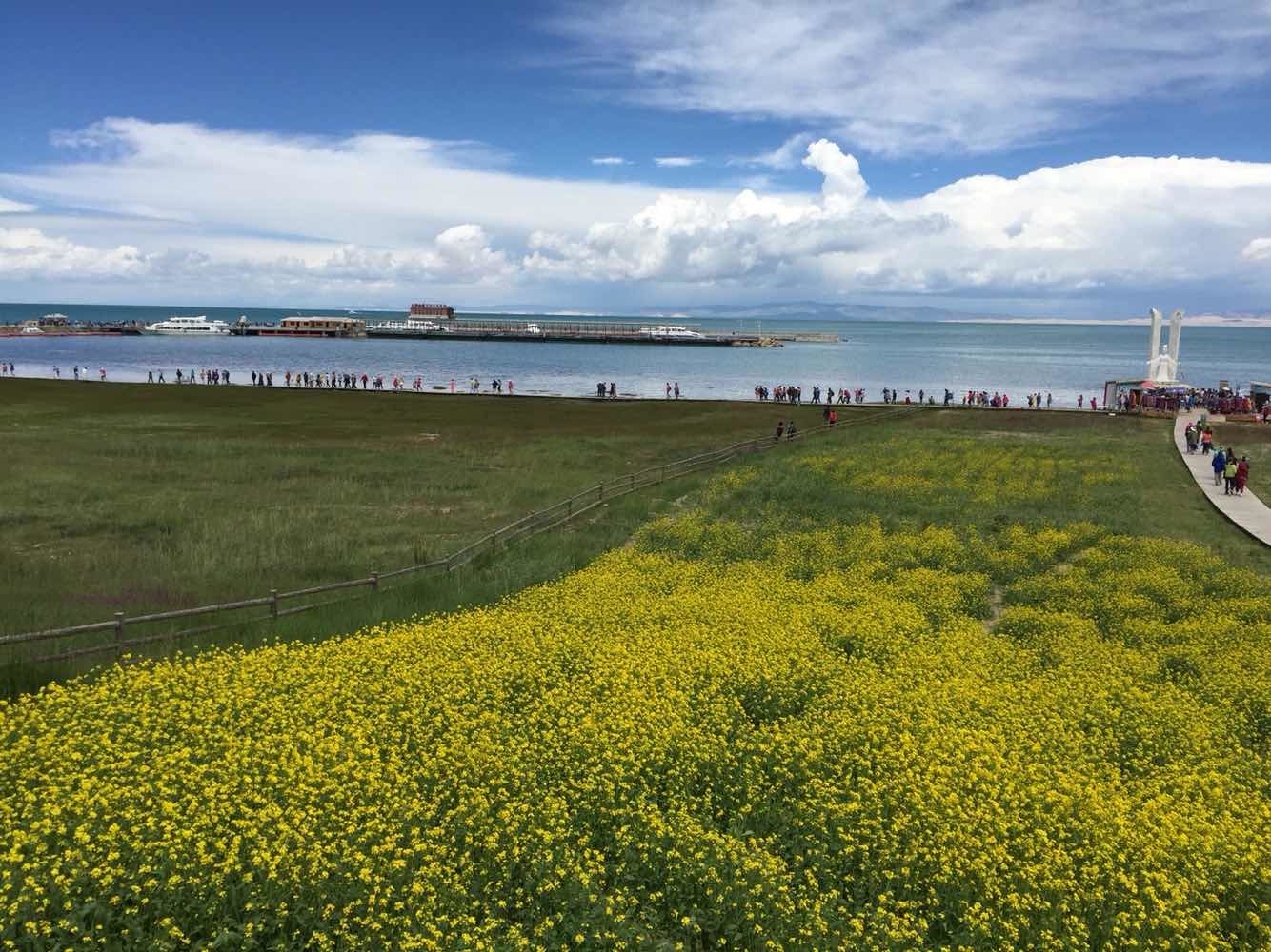 從西寧出發(fā)，青海湖一日游攻略，青海湖一日游攻略，從西寧出發(fā)的青海湖探秘之旅