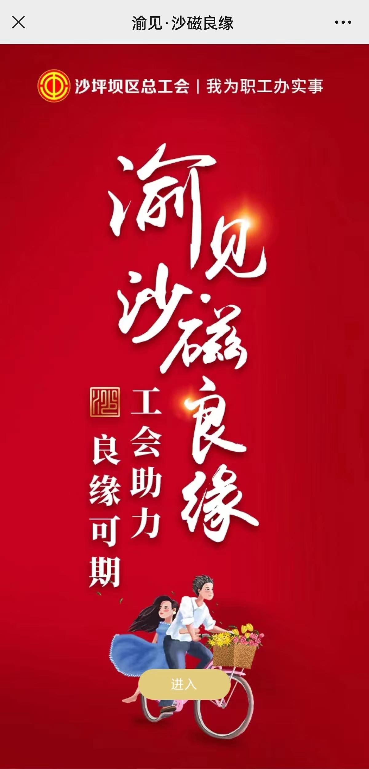 正規(guī)免費交友平臺，探索與解析，正規(guī)免費交友平臺，探索、解析與體驗