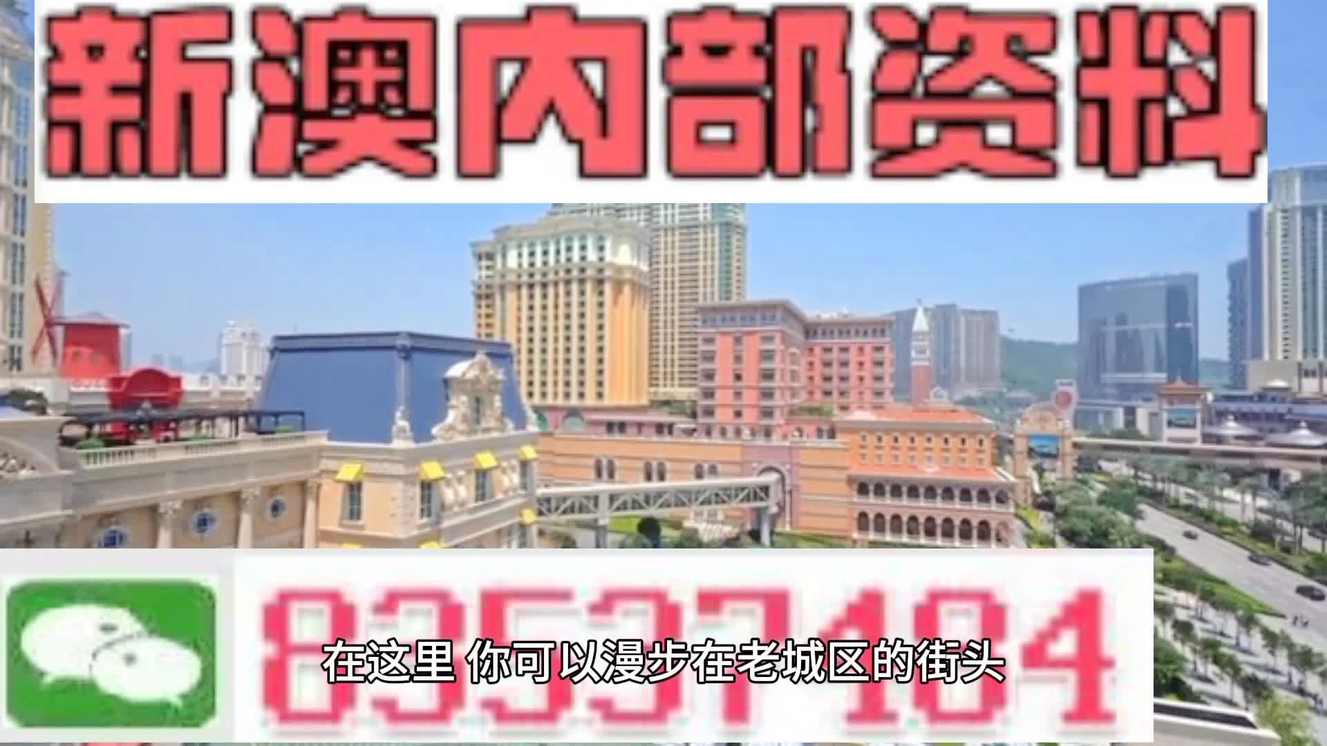 澳門一肖一碼期期準中選料野，探索背后的奧秘與魅力，澳門一肖一碼期期準，揭秘背后奧秘與獨特魅力