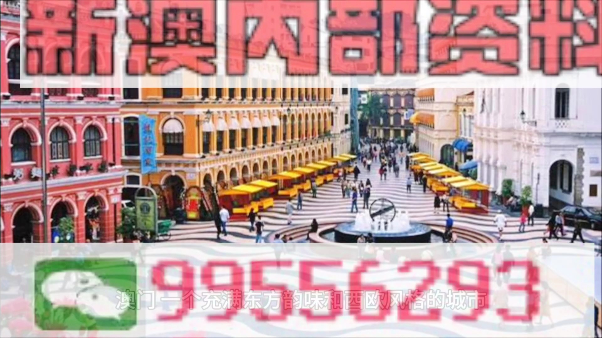 澳門(mén)內(nèi)部資料精選大全，澳門(mén)內(nèi)部精選資料大全