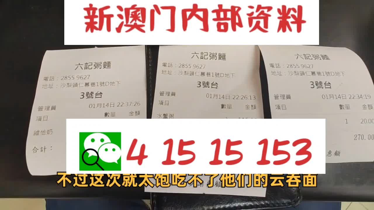 新澳2025正版資料大全，探索與解讀，新澳2025正版資料大全，深度探索與解讀