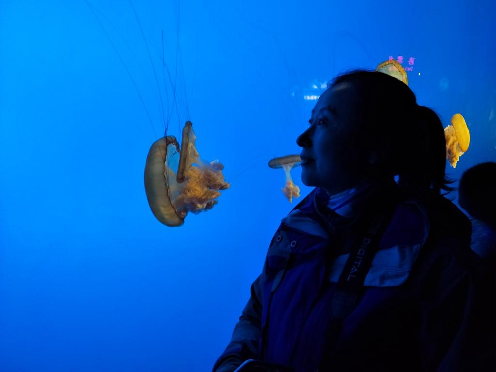 北京海底世界的奇妙之旅，探索神秘的海底奇景，北京海底世界探險(xiǎn)，神秘海底奇景之旅