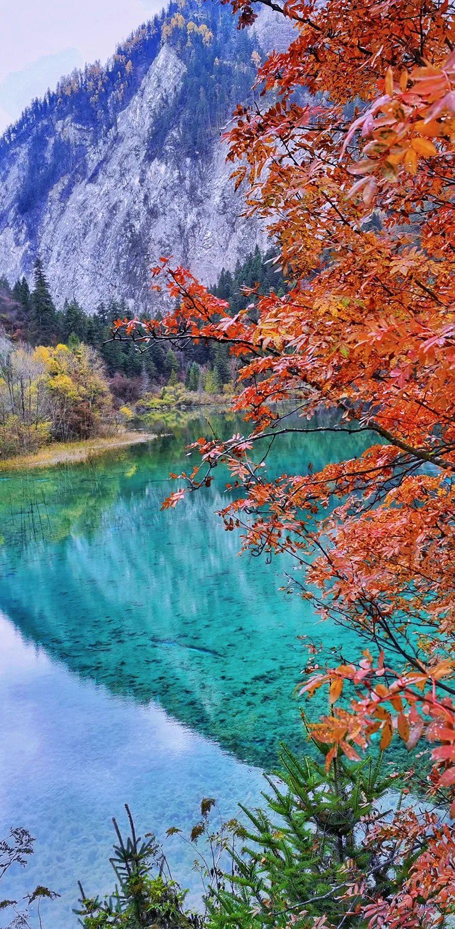 適合八、九月份旅游的地方，探索秋季美景的最佳選擇，秋季旅游指南，探索八、九月份最美的旅行目的地