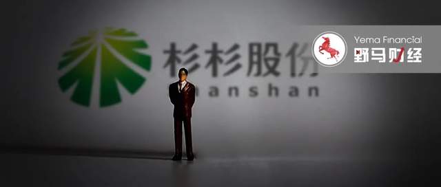 杉杉股份最新消息新聞，引領行業(yè)變革，持續(xù)創(chuàng)新助力企業(yè)發(fā)展，杉杉股份引領行業(yè)變革，最新消息新聞與創(chuàng)新助力企業(yè)發(fā)展