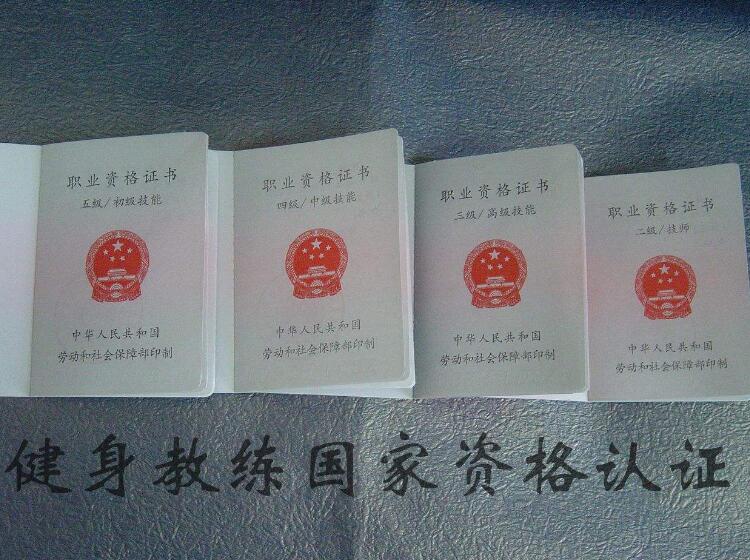 健身教練職業(yè)資格證要求，標準與路徑，健身教練職業(yè)資格證詳解，要求、標準與獲取路徑