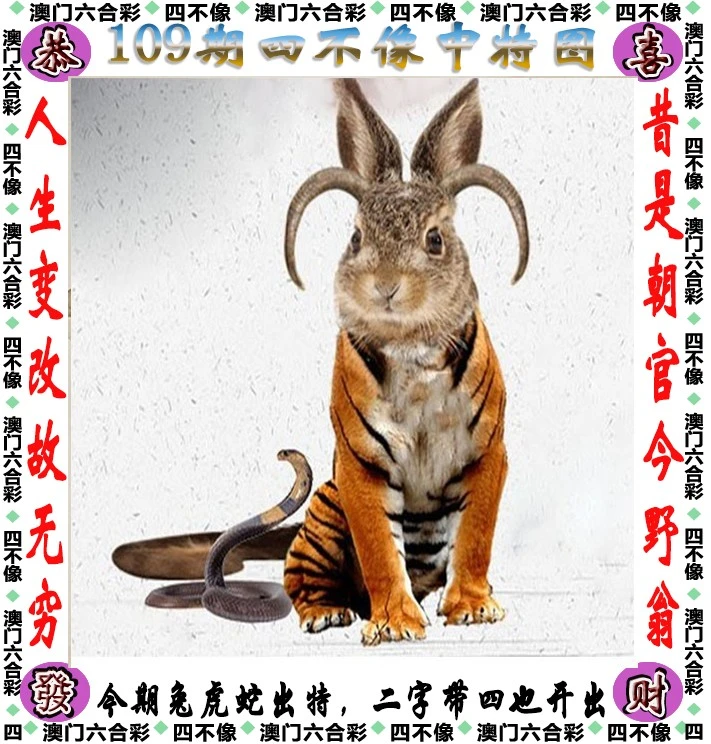 四不像必中一肖管家婆圖，揭秘神秘預(yù)測圖之謎，揭秘四不像必中一肖管家婆圖，神秘預(yù)測圖真相大揭秘