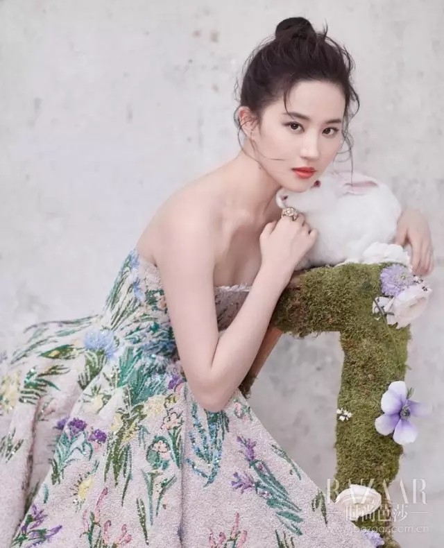 明星為藝術(shù)貢獻(xiàn)身體，探索藝術(shù)之路的無私奉獻(xiàn)，明星為藝術(shù)無私奉獻(xiàn)，探索藝術(shù)之路的壯麗篇章