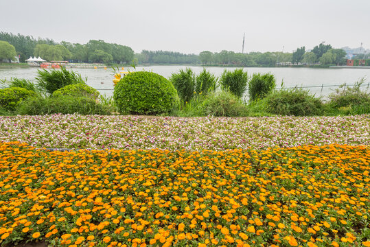 北京朝陽公園景點介紹，北京朝陽公園游玩指南，熱門景點全解析