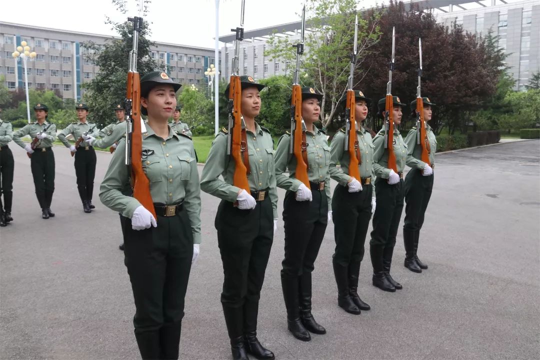 儀仗隊(duì)女兵退伍，榮耀與未來(lái)的交織，儀仗隊(duì)女兵退伍，榮耀與未來(lái)的碰撞