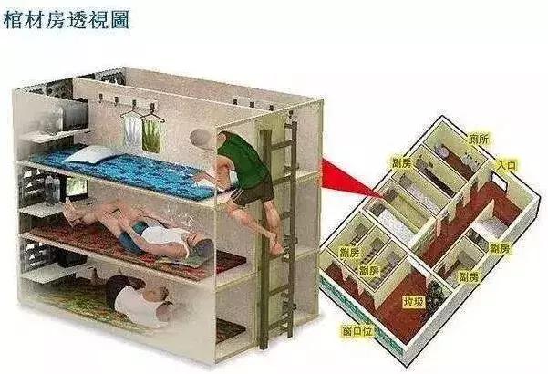 香港綜合出號走勢圖，探索與解讀，香港綜合出號走勢圖的探索與解讀