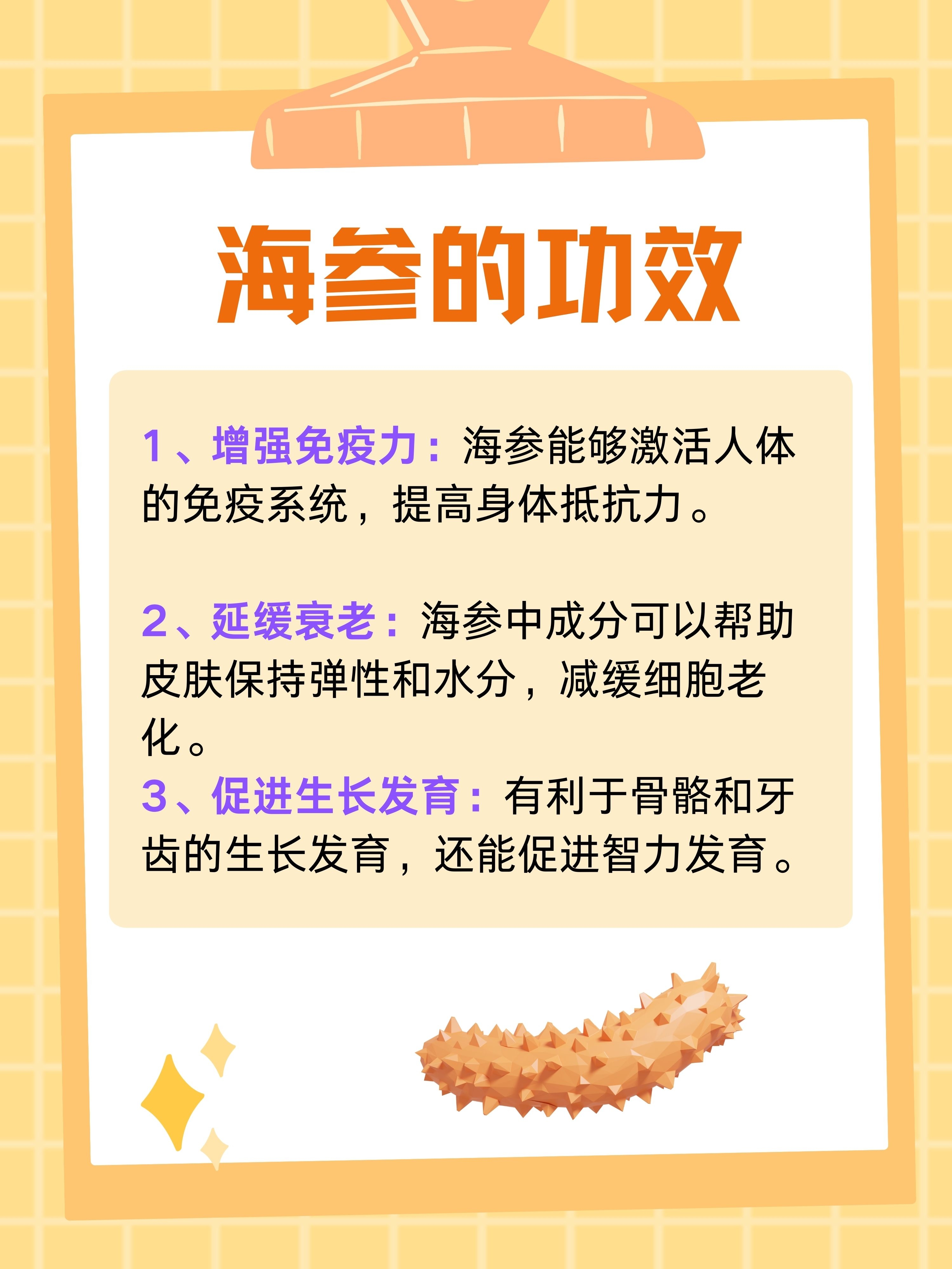 海參，揭示其功效與作用，海參，深度解析其功效與作用