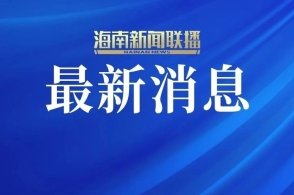 新澳2025正版資料免費公開，探索與啟示，新澳2025正版資料免費公開，探索之旅與啟示