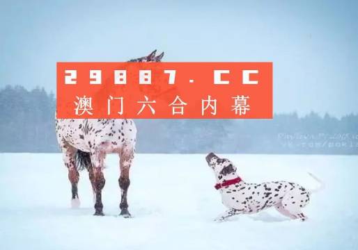 澳門內(nèi)部資料精準(zhǔn)大全2023，深度探索與預(yù)測(cè)分析，澳門內(nèi)部資料深度探索與預(yù)測(cè)分析2023