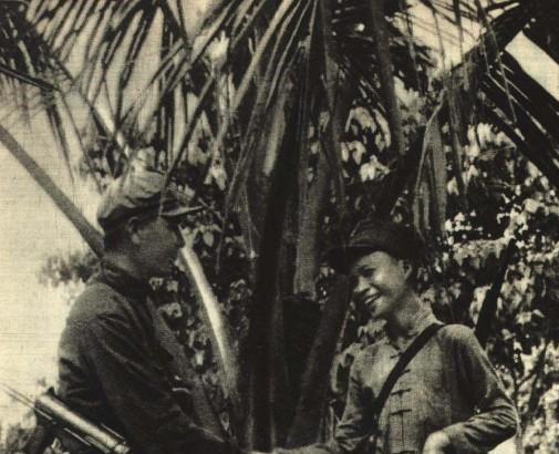 海南島戰(zhàn)役真實(shí)傷亡人數(shù)，歷史數(shù)據(jù)的深度解析，海南島戰(zhàn)役真實(shí)傷亡人數(shù)深度解析，歷史數(shù)據(jù)的探索與揭秘
