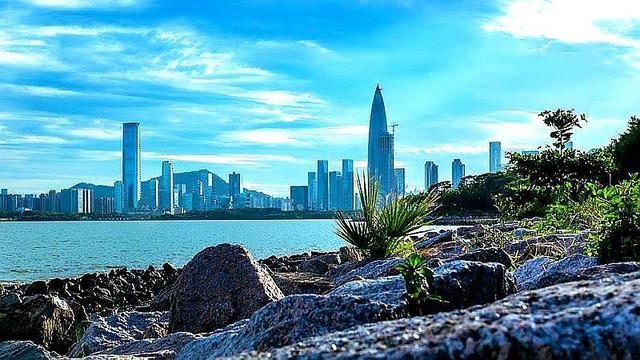 深圳風(fēng)景最好的地方，探尋城市綠肺之美，深圳城市綠肺之美探尋，風(fēng)景最佳之地