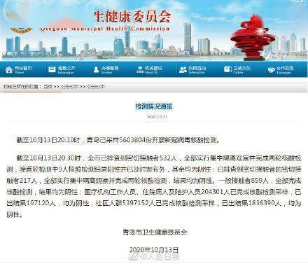 青島疫情最新情況分析報(bào)告，青島疫情最新分析報(bào)告概覽