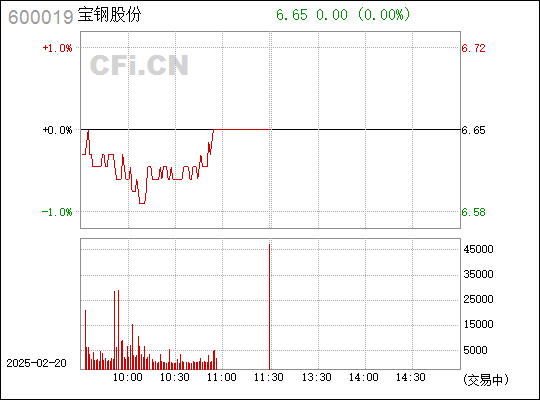 寶鋼股份吧 600019 股吧，深度解析與前景展望，寶鋼股份（600019）深度解析與前景展望，股吧熱議話題