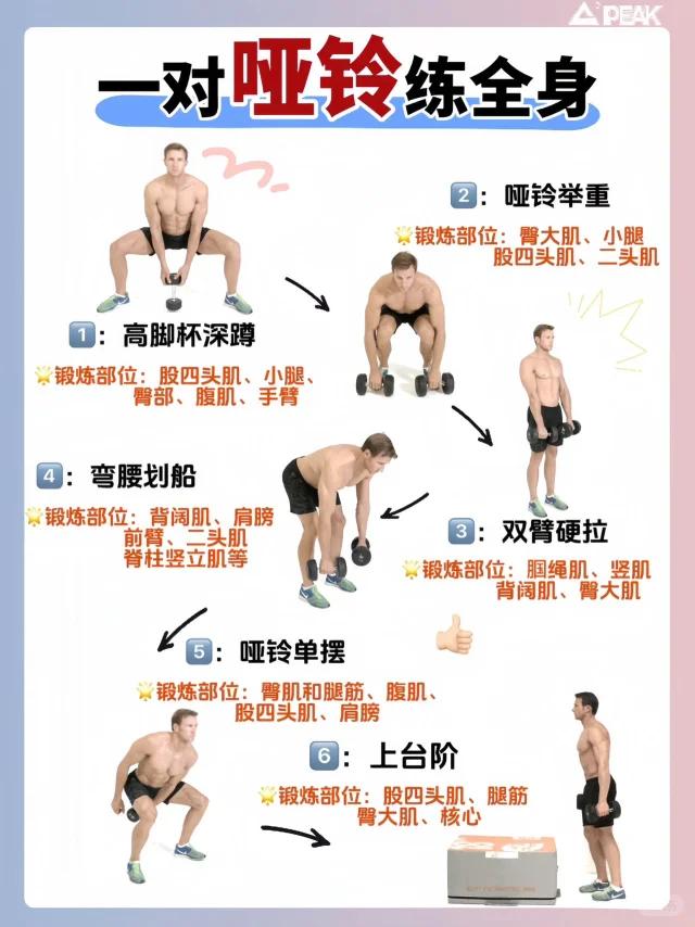 啞鈴塑形，九個(gè)動(dòng)作，全身鍛煉的完美指南，啞鈴塑形，全身鍛煉的九大完美動(dòng)作指南