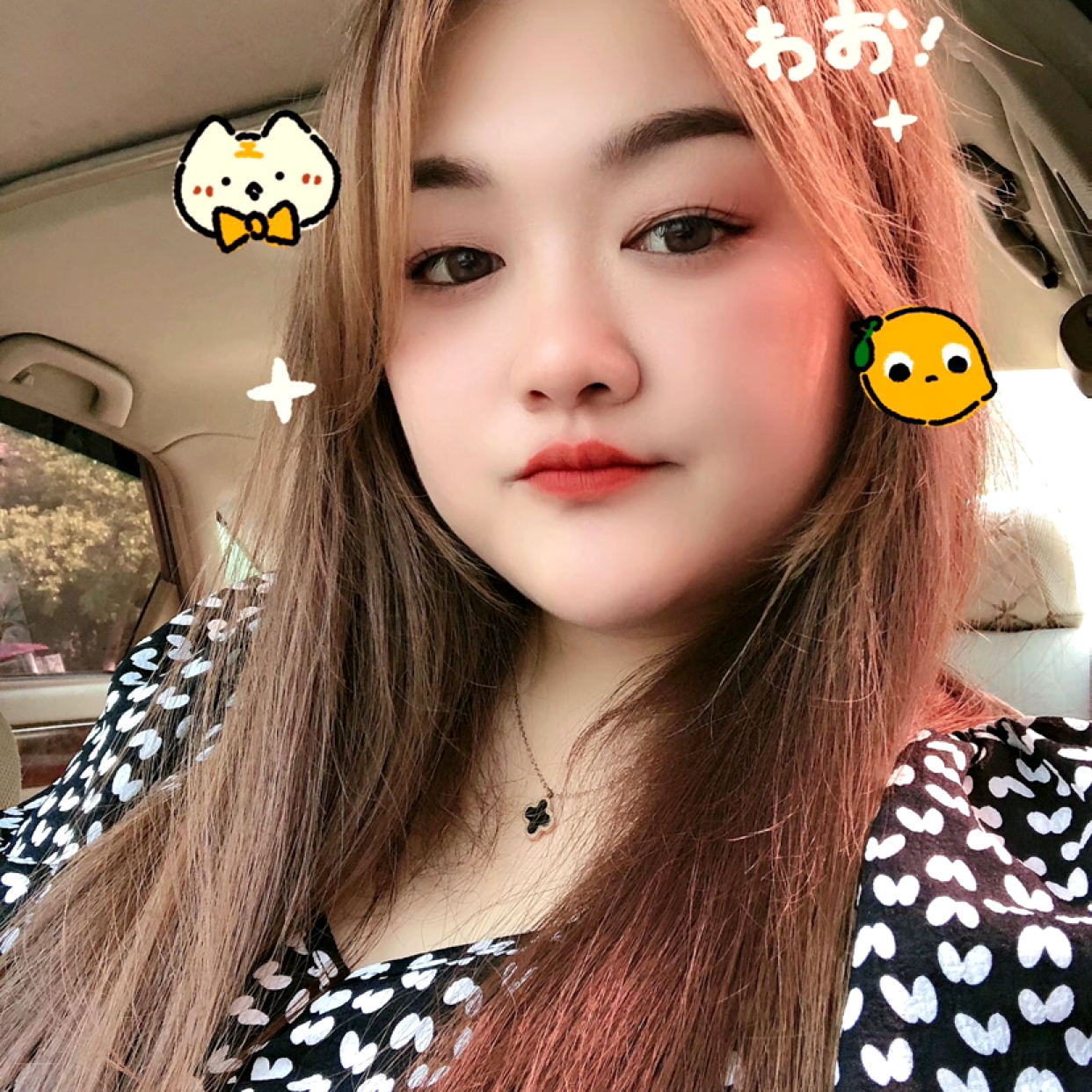 合肥征婚相親，探尋現(xiàn)代婚戀之路的新篇章，合肥征婚相親新篇章，探尋現(xiàn)代婚戀之路