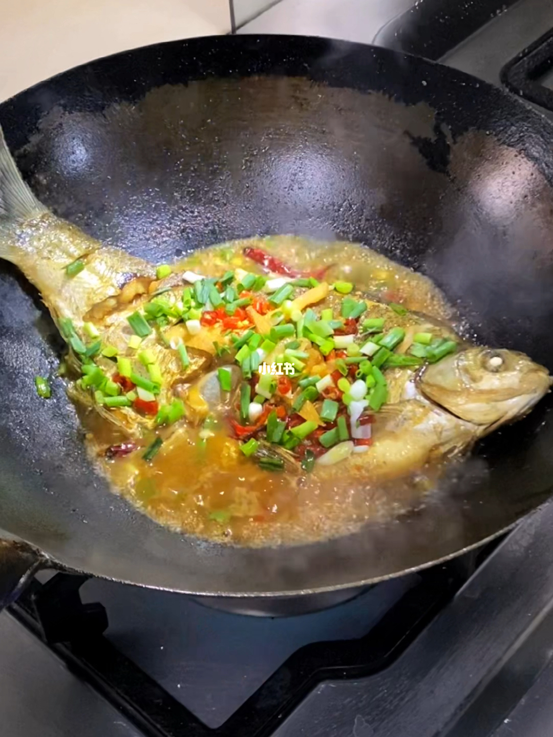 魚的100種做法大全，千變萬化的烹飪藝術，魚的烹飪藝術，100種做法大全