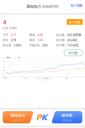 國電電力股票600795，深度解析與前景展望，國電電力股票600795深度解析及未來前景展望