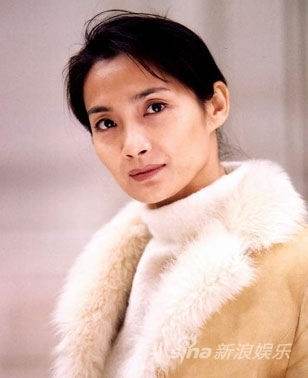 電視劇女演員的魅力與影響力——從角色塑造到社會價(jià)值的全面解讀，電視劇女演員的魅力與影響力，從角色塑造到社會價(jià)值的深度探討