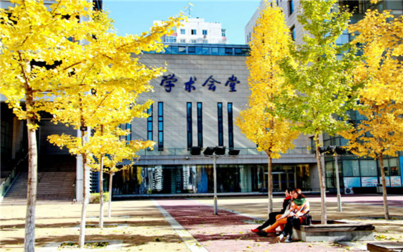 中央財經(jīng)大學3+1國際本科項目，培養(yǎng)全球視野下的財經(jīng)精英，中央財經(jīng)大學3+1國際本科項目，全球財經(jīng)精英的搖籃