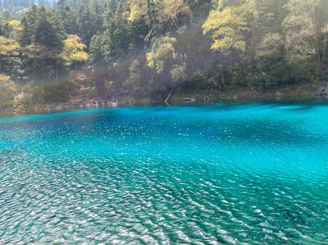 九寨溝未來七天天氣預(yù)報及旅行建議，九寨溝未來七天天氣預(yù)報與旅行攻略建議