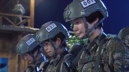 特種兵之火鳳凰，熱血與榮耀的邂逅——免費觀看體驗，特種兵之火鳳凰，熱血榮耀的觀影體驗開啟