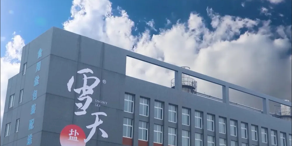 雪天鹽業(yè)，鹽業(yè)巨頭在寒冬中的卓越表現(xiàn)，雪天鹽業(yè)巨頭在寒冬中的卓越表現(xiàn)