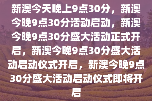 新澳之夜，九點(diǎn)三十分的奇遇，新澳之夜，九點(diǎn)三十分的神秘奇遇