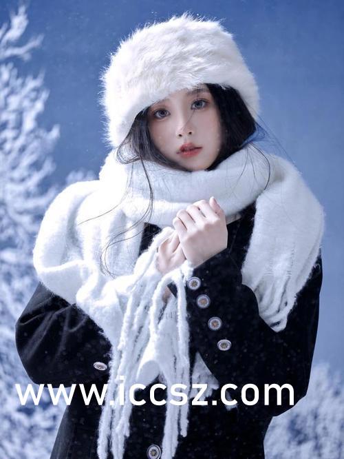 飄雪中的電影電視劇，探尋影視藝術(shù)的魅力之旅，影視藝術(shù)之旅，飄雪中的探尋之旅