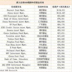 海外基金排名前十名，深度解析與比較，海外基金排名前十深度解析與比較指南