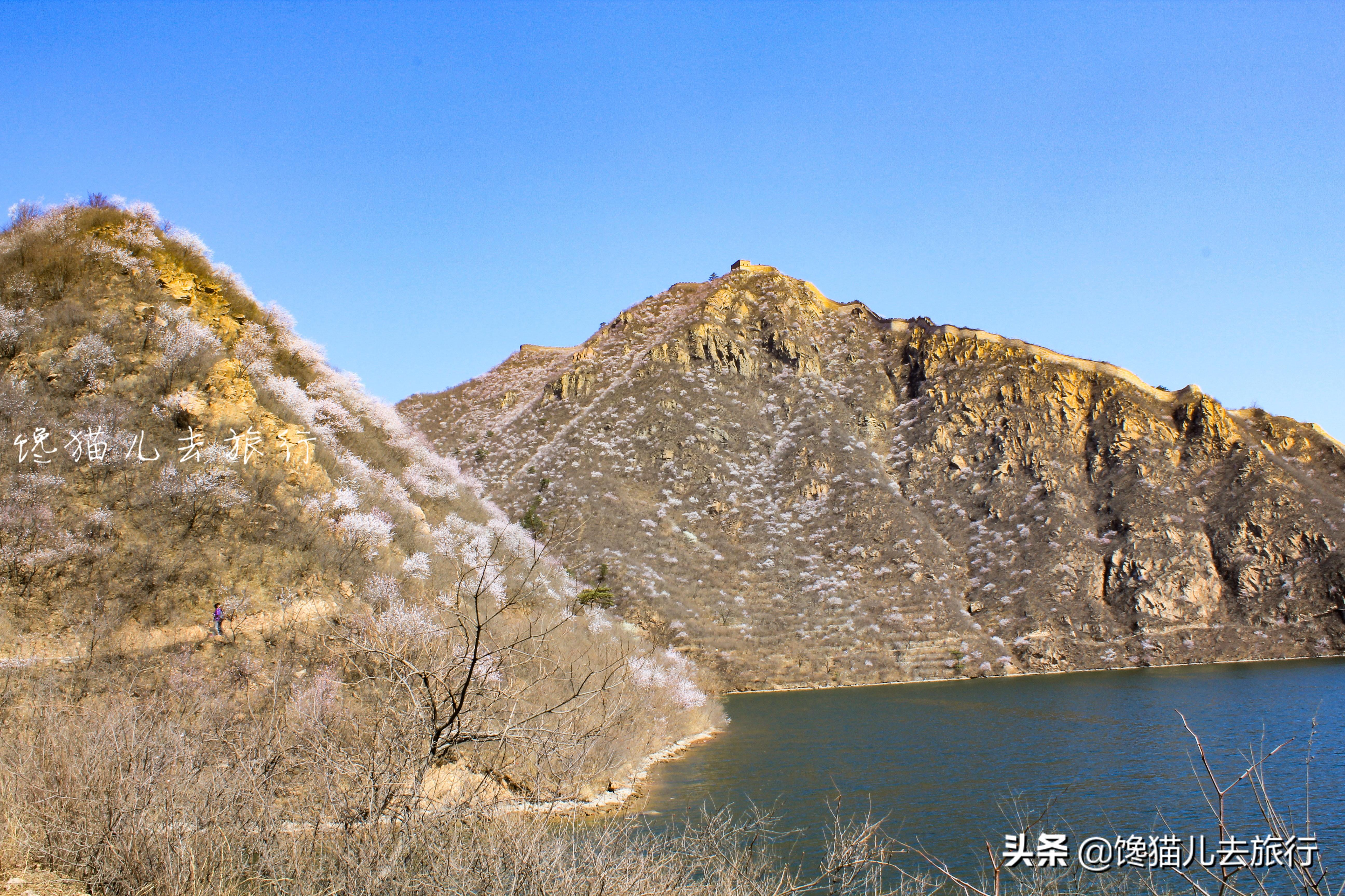 北京長城一日游旅游團報價詳解，北京長城一日游旅游團報價全解析