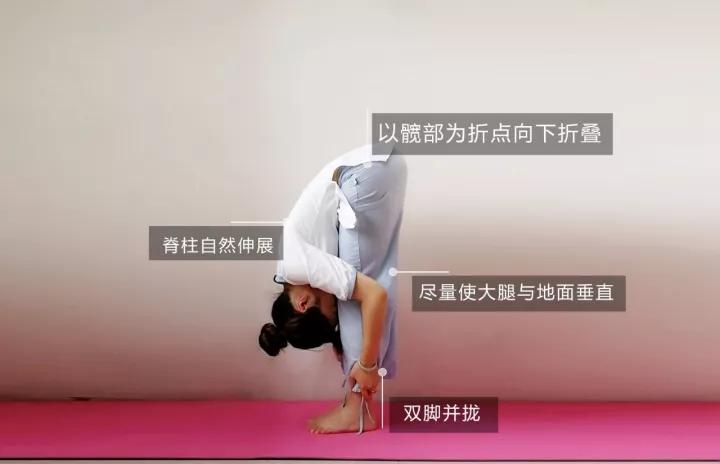 瑜伽視頻教程初級(jí)全套視頻下載，入門指南與體驗(yàn)，瑜伽初級(jí)全套視頻教程下載，入門指南與體驗(yàn)之旅