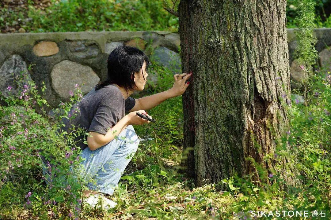 大地資源高清播放，在線觀看的新時代，大地資源高清播放，在線觀看新時代的盛宴