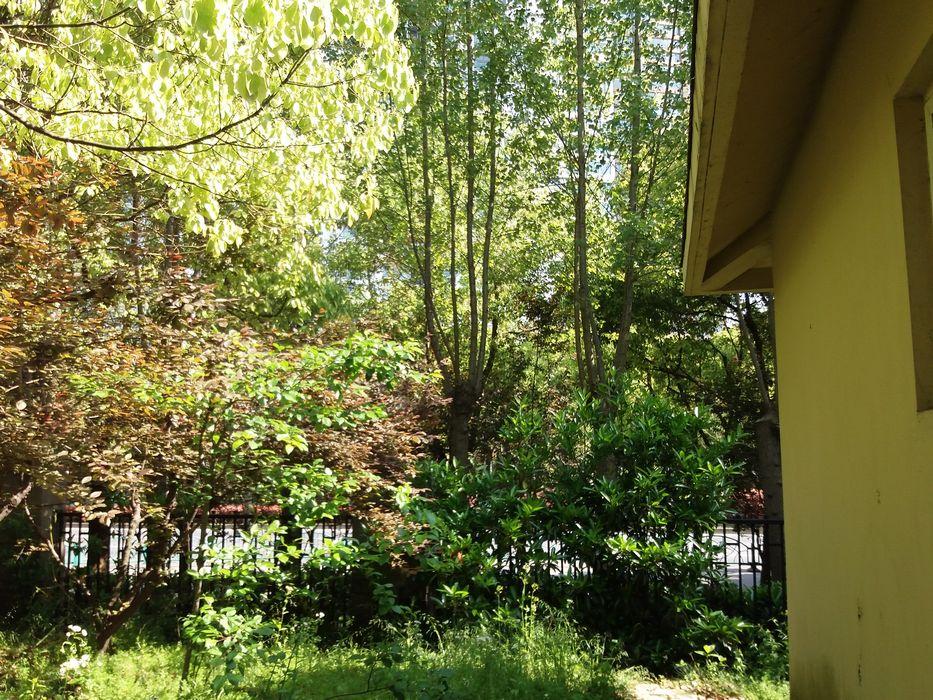 上海世紀(jì)公園景點(diǎn)深度游，上海世紀(jì)公園景點(diǎn)深度探索