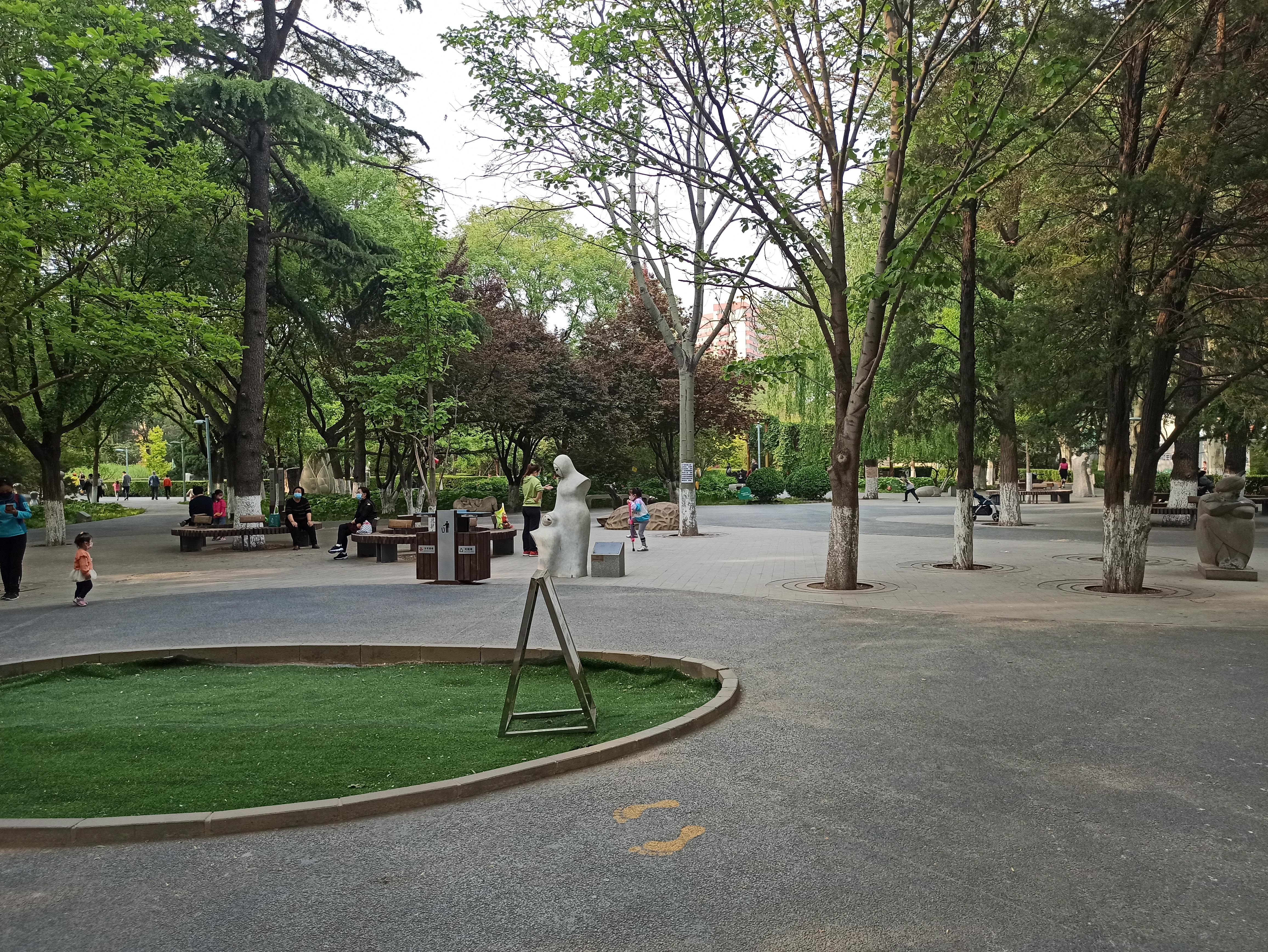 公園里的健身器材名稱及其重要性，公園健身器材名稱介紹及其重要性概述