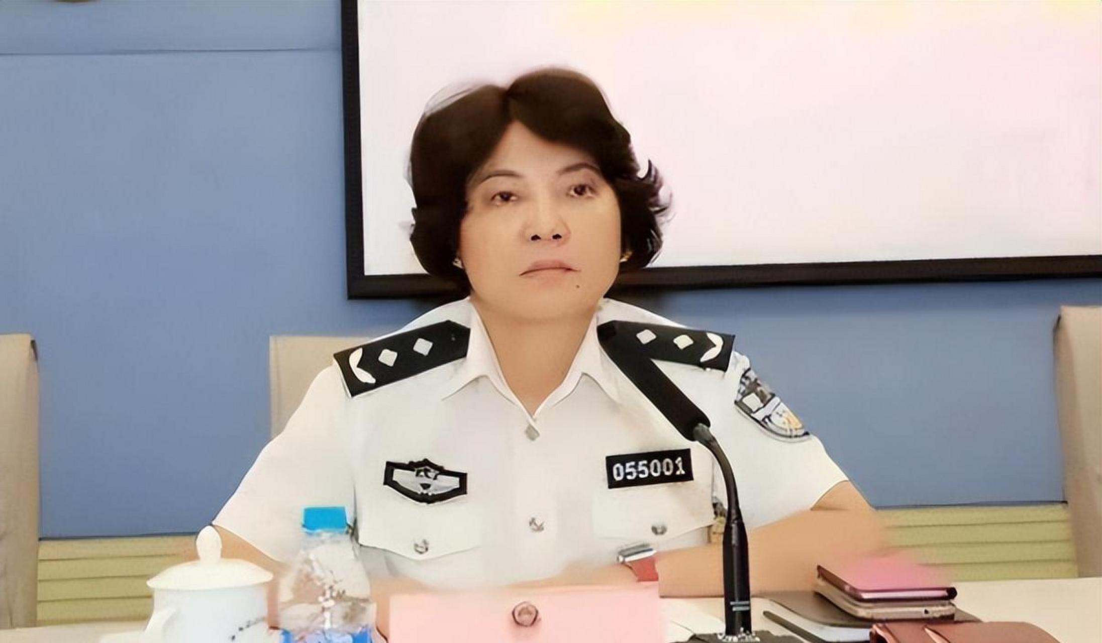 女公安局長(zhǎng)，堅(jiān)韌與智慧的化身，女公安局長(zhǎng)，堅(jiān)韌與智慧的典范