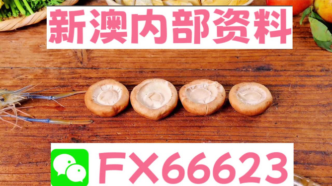 新澳正版資料免費提供，助力個人與企業(yè)的成長與發(fā)展，新澳正版資料助力成長與發(fā)展，個人與企業(yè)的免費資源寶庫