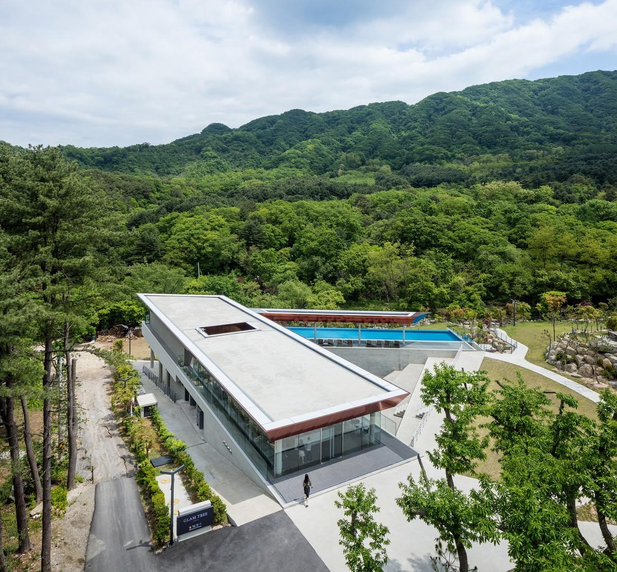 韓國(guó)野花，自然之美與文化的交融，韓國(guó)野花，自然之美與文化的和諧交融