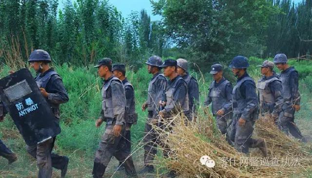 特警力量，守護(hù)社會(huì)的堅(jiān)實(shí)壁壘，特警力量，社會(huì)的堅(jiān)實(shí)守護(hù)壁壘