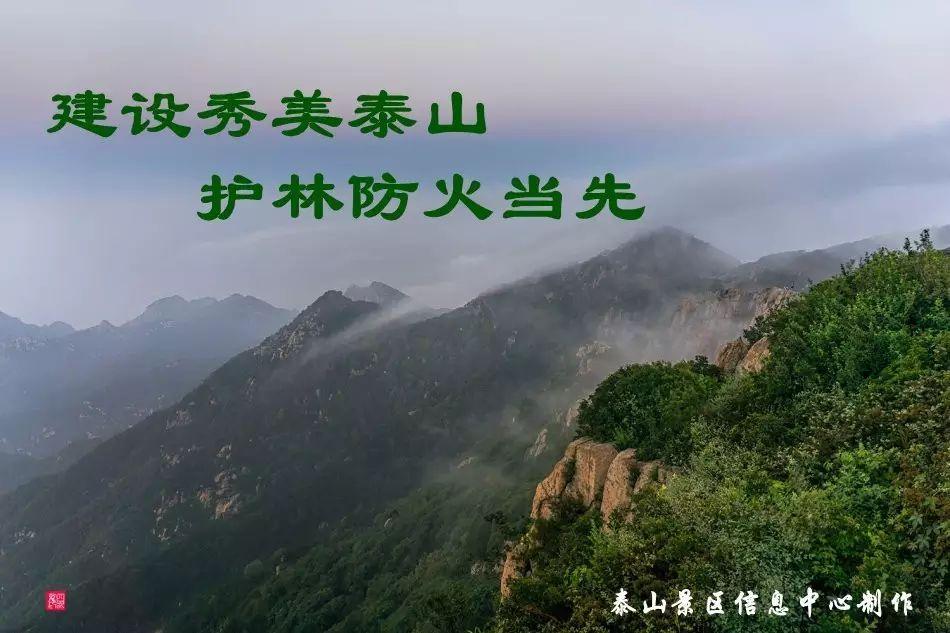 泰山風(fēng)景名勝區(qū)官方網(wǎng)站，探索自然與文化的融合之地，泰山風(fēng)景名勝區(qū)官方網(wǎng)站，自然與文化融合的探索之地