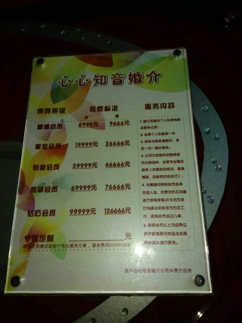 跨國婚介所收費價目表詳解，跨國婚介所收費價目表全面解析