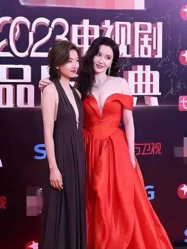 張譯主演的電視劇大全最新，演技的巔峰與時(shí)代的印記，張譯主演電視劇大全最新，演技巔峰與時(shí)代印記的展現(xiàn)
