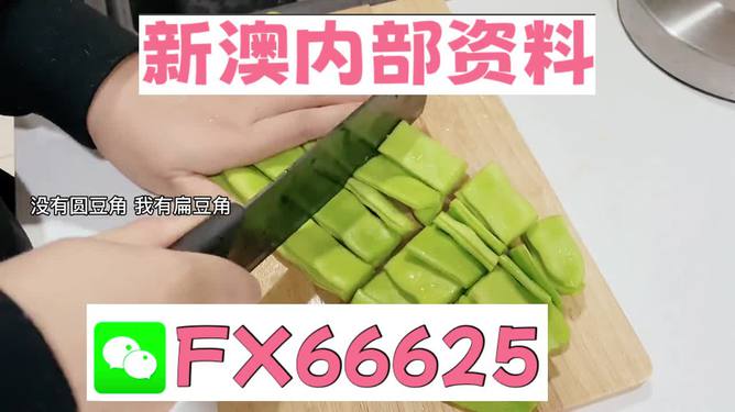 新澳精準資料免費提供，探索與啟示，新澳精準資料免費探索與啟示分享